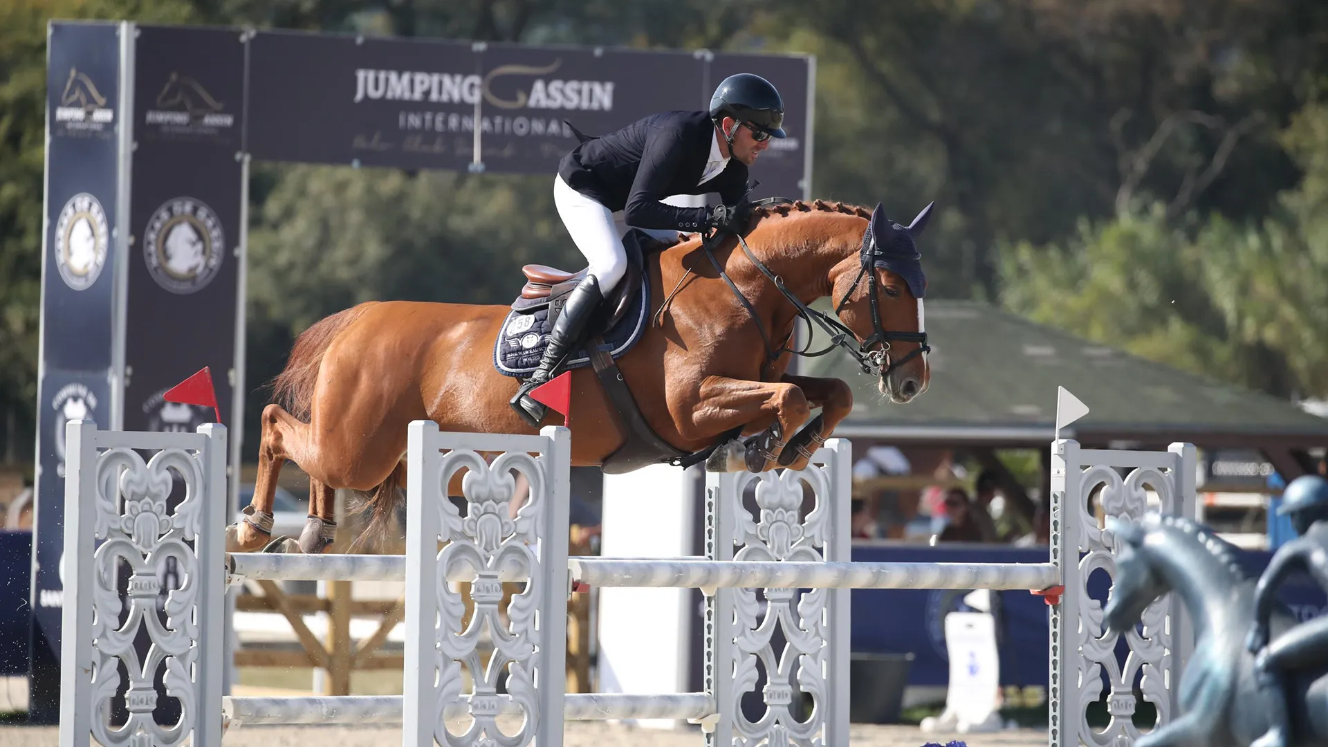 JW Horses Komtessa de la Loge Verkaufspferde
